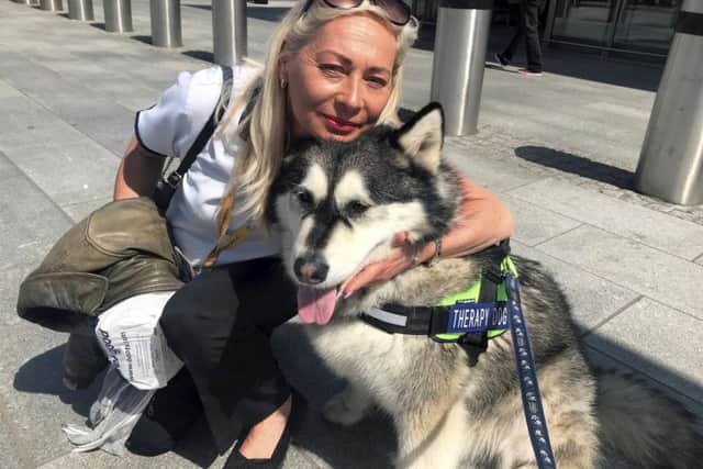 Therapy dog Alaskan malamute Harley has been helping passengers at Aberdeen International Airport.