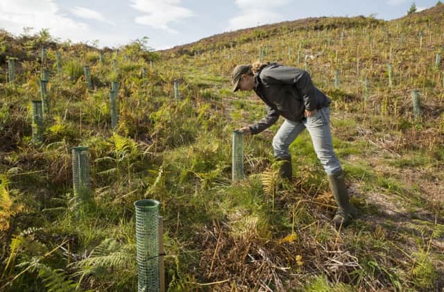 New native trees are being planted at 130 locations across the country as part of the Woodland Trust's First World War Centenary Woods project, including 14 sites on the Isle of Lewis
