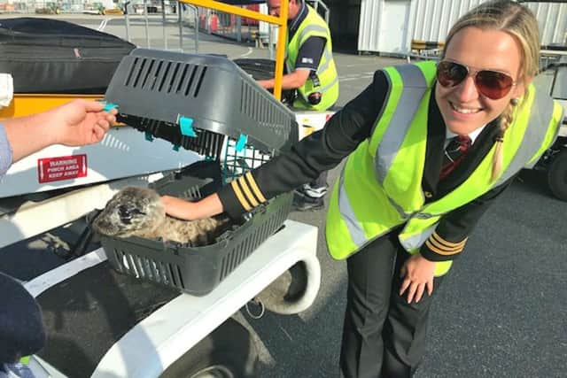 Loganair Pilot Rimante Mizaraite with the baby seal ahead of its journey on a Loganair flight to Glasgow for specialist treatment. Picture: Loganair/PA Wire
