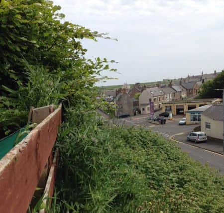The banking at Northburn Hill, Eyemouth is no longer cut by council staff, leaving the entrance to the town "a complete mess" according to community council chairman James Anderson.