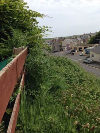 The banking at Northburn Hill,  Eyemouth is no longer cut by council staff, leaving the entrance to the town "a complete mess" according to community council chairman James Anderson.