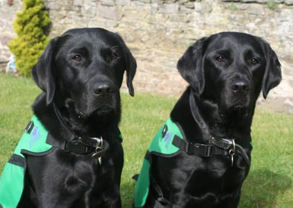 Lenny and Hope have the skills to help enhance the quality of life for people living with early-stage dementia.