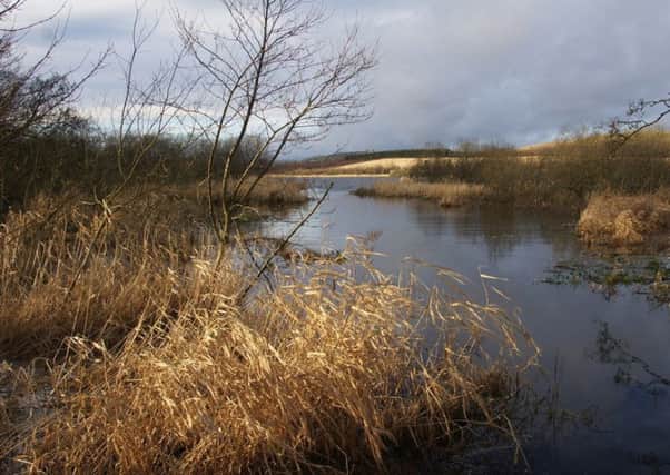 The man's body was found near Loch of Kinnordy. Pictue: Mike Pennington/Geograph