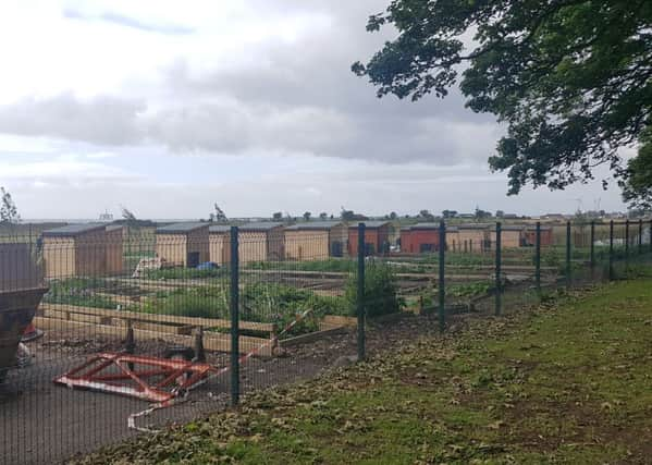 The allotments at Silverburn Park