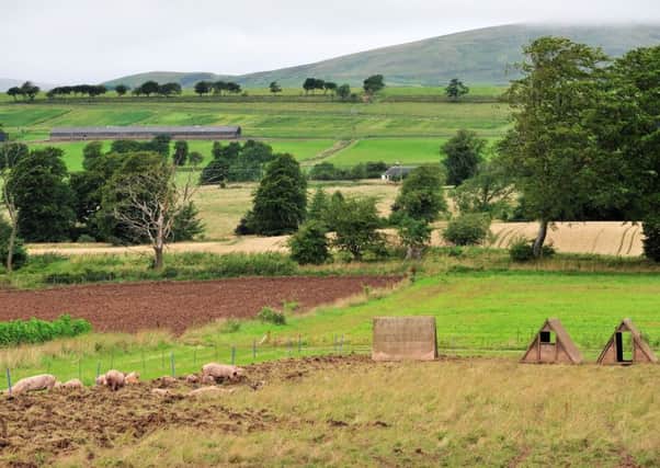A green and pleasant land: organic farms have been found to have up to 50 per cent more birds, bees and other wildlife