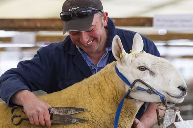 Thousands of animals will be competing in all manner of classes over the four-day event. Picture: SWNS
