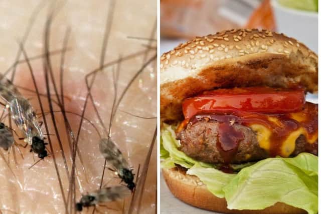 A hotel in Argyll is adding midge burgers to the menu. Pictures: Pixabay/Free Images