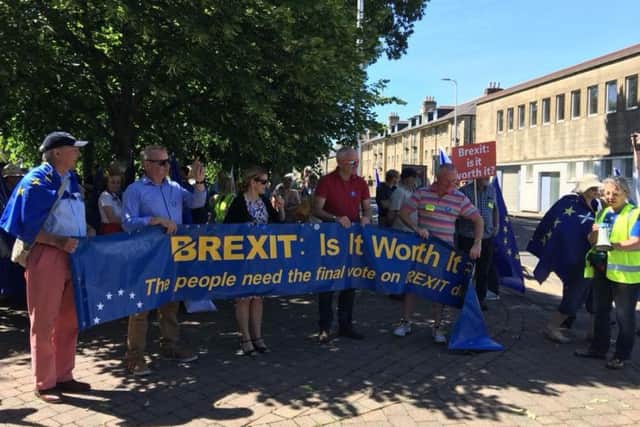 The march raised pro-EU banners. Picture: TSPL
