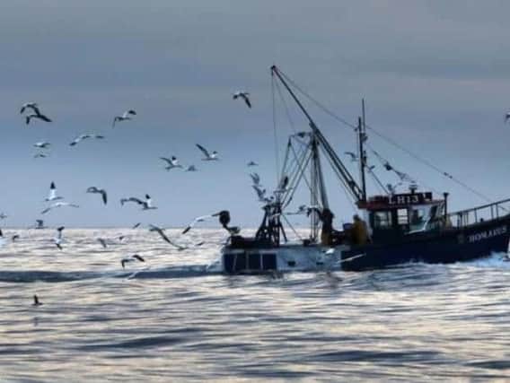Fishing industry leaders are predicting post-Brexit boom