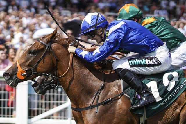 Harry Bentley riding Ginger Nut (blue) win The Weatherbys Super Sprint Stakes at Newbury. Pic: Alan Crowhurst/Getty Images