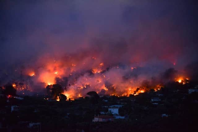 Flames rise as a wildfire burns in the town of Rafina, near Athens. Picture: AFP Photo / Angelos Tzortzinisangelos/Getty Images.