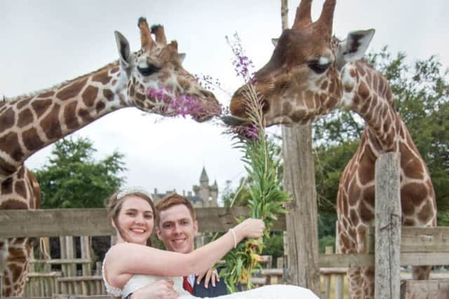The animal-loving bride enjoyed a photo shoot with a difference, posing with some giraffes as she celebrated her big day. Picture: PA