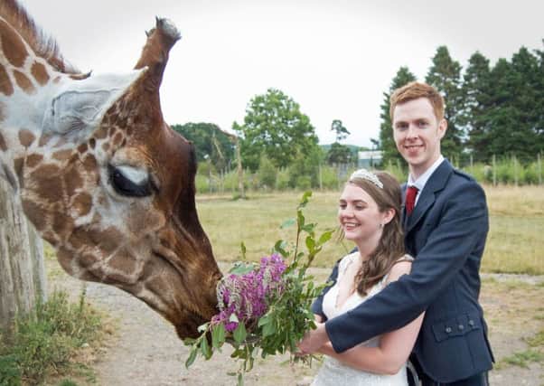 Bride and Groom Alexandra and Chris McDaid with the giraffes. Picture: PA