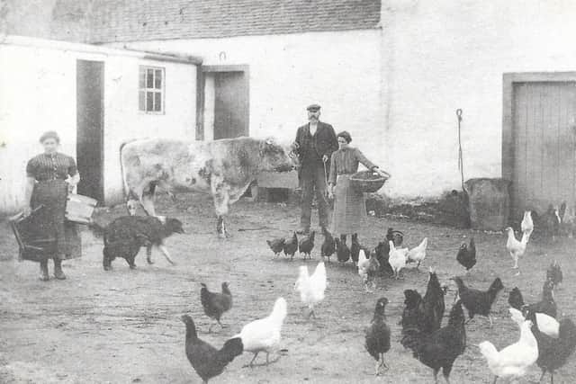Farm yard scene near Ettrick Bay, from the archives of Bute Museum.