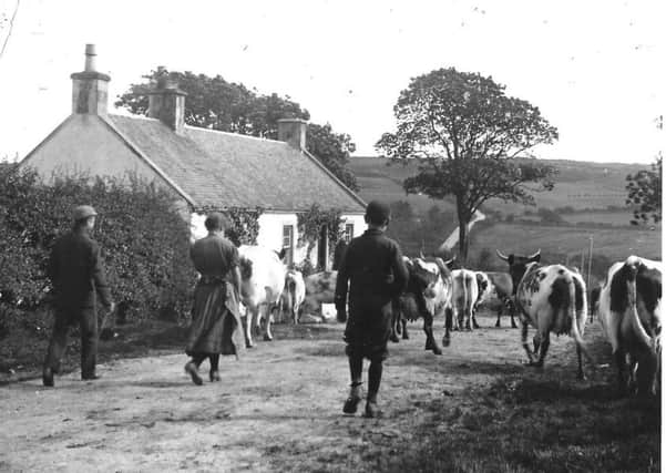 Picture from Bute Museum of farm life on Bute.