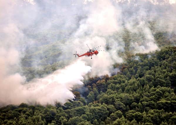 A firefighting helicopter drops water on a wildfire near the village of Kineta (Picture: Valerie Gache/AFP/Getty)