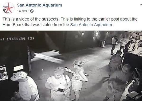 A Facebook post by San Antonio Aquarium.