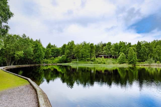 Guests at the resort can enjoy the tranquil surroundings. Picture: Lochanhully Woodland Resort