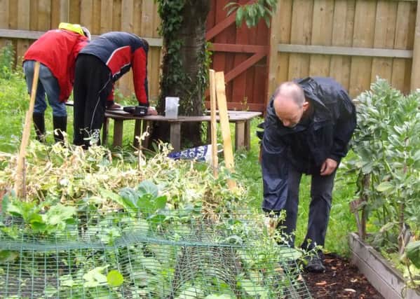 Health in Mind's Midlothian conservation project (ROWAN)