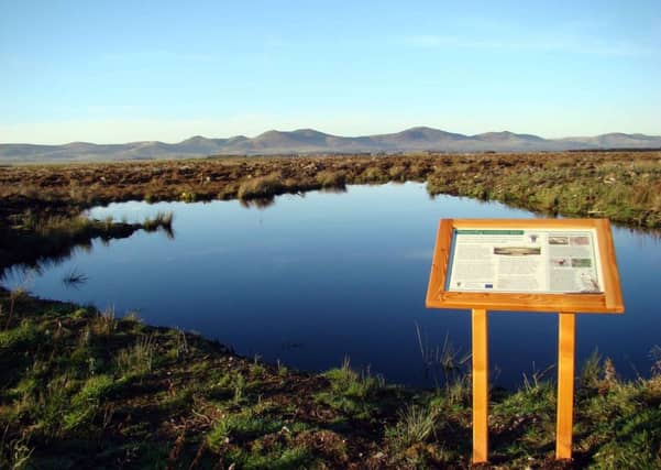 Friends of Leadburn Community Woodland (FLCW) will purchase 23 acres of woodland in Midlothian from Forestry Enterprise Scotland