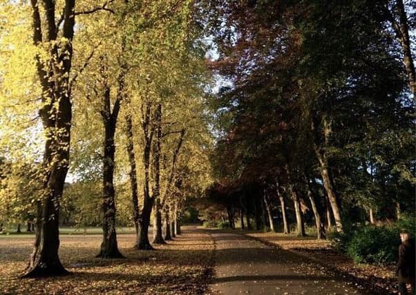 The council is proposing new ways of managing the region's green spaces.