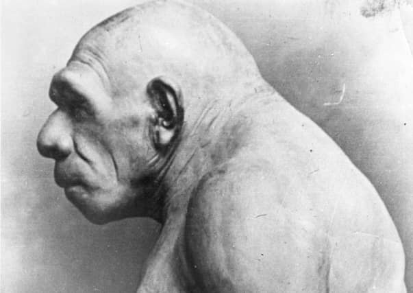 All Extinct Humans New species of extinct human discovered