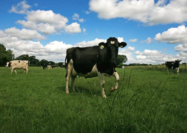 A Scottish Organic Producers' Association survey showed most members want a comprehensive deal with the EU. Photograph: Getty