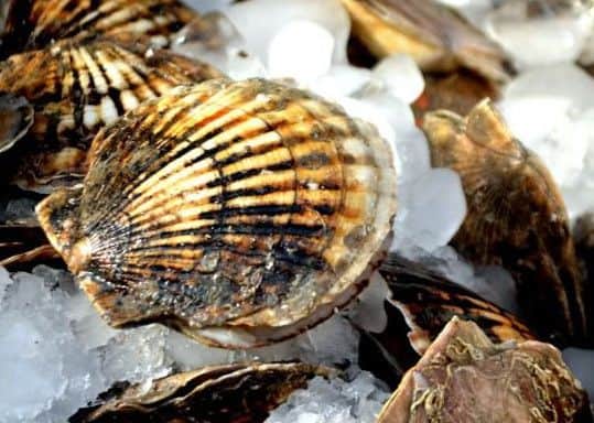 French fisherman have clashed with a number of British boats after a "scallop war" erupted in the English Channel. Picture: File Image