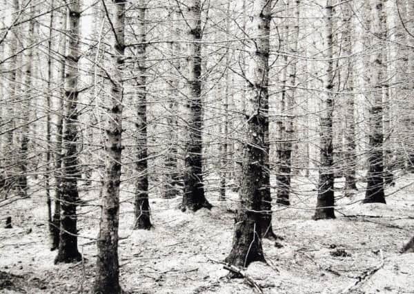 Fleeting Landscapes by Ravi Agarwal at Edinburgh Printmakers