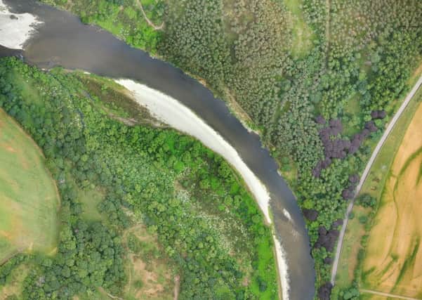 The Spey Fisheries Board and the Scottish Invasive Species Initiative have located hidden patches of the invasive non-native Giant hogweed and Japanese Knotweed plants, thanks to a high-tech drone flying over the River Spey.