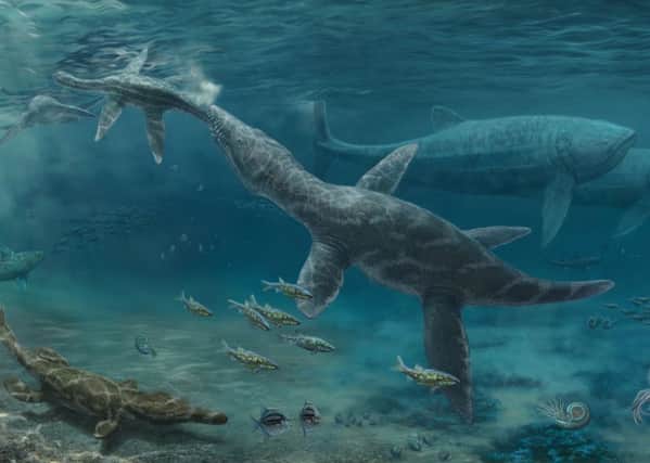 An artist's impression of a Jurassic period sea reptile. Scientists at the University of Edinburgh have studied how such creatures adapated to changing sea levels. Image: Nikolay Zverkov