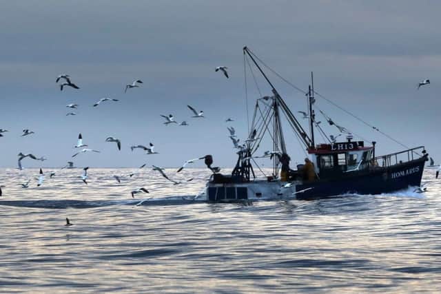 Greenpeace has investigated fishing rights. Picture: David Cheskin/PA Wire