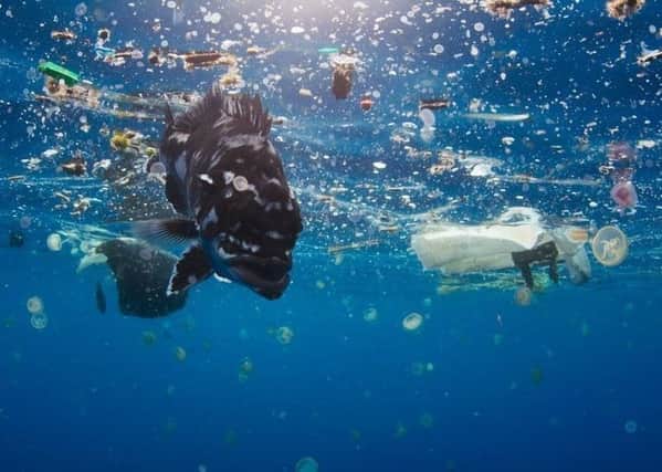 Plastic pollution in the sea. Picture by Blue Planet 2, BBC.
