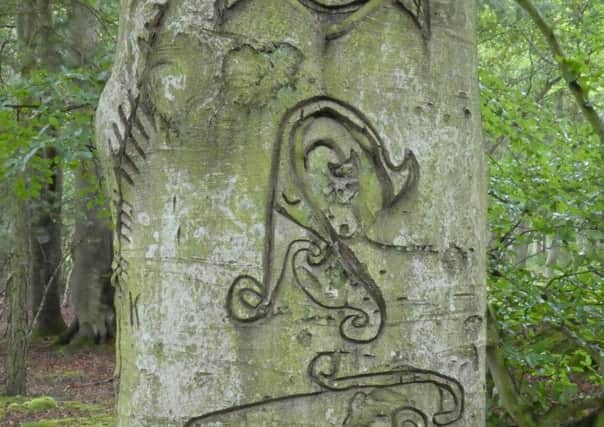 An inscribed Pictish standing stone