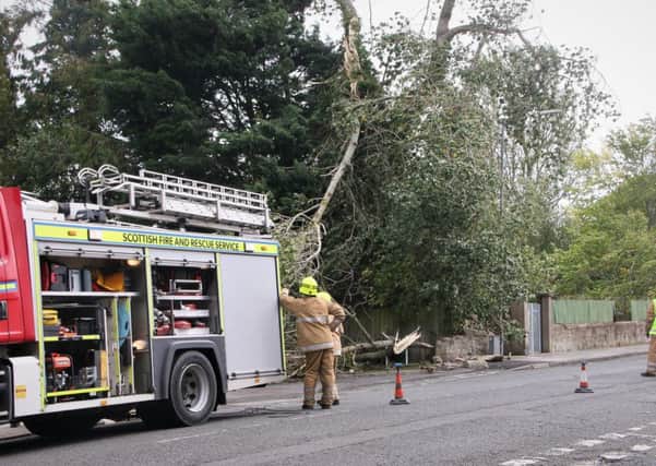 Fire fighters take care of a fallen tree at Station Road in Kelso this afternoon.