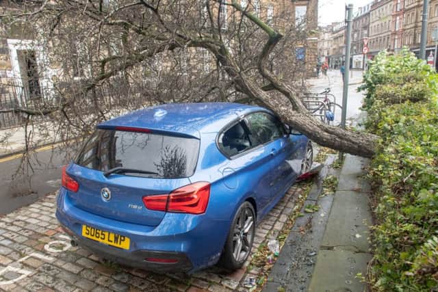 Cars were damaged by falling tress. Picture: Michael Gillen