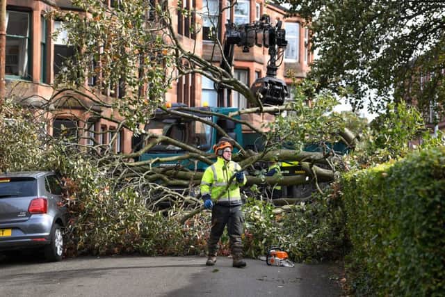 Workmen clear trees in Marlborough Avenue brought down  by Storm Ali, which saw winds of up to 100mph. Picture: Jeff J Mitchell/Getty Images