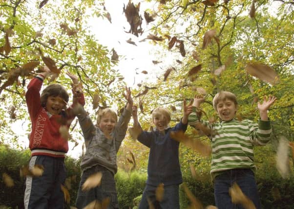 In both Sweden and Norway, forestry strategies take a holistic approach; forest production, climate change mitigation and environmental considerations are given equal weight