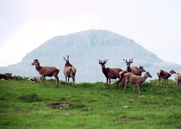 We urgently need to better regulate deer management to heal our landscapes to after centuries of overgrazing. Picture: TSPL