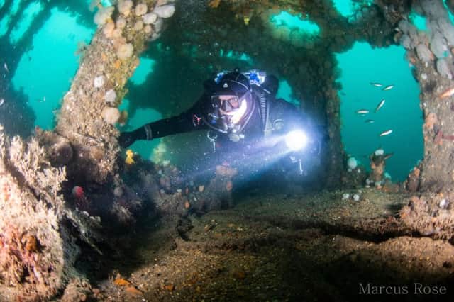 Diver Ian King of Ghost Fishing UK works on the annual clean up of the wreck of the German navy torpedo boat destroyer SMS V83, scuttled in Scapa Flow in 1919. Picture: Marcus Rose