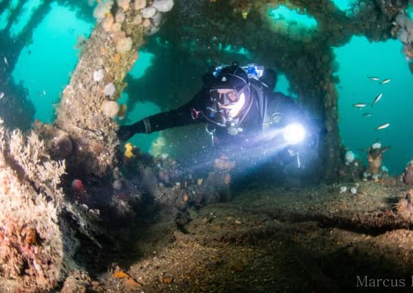 Ian King is one of 30 divers searching 100-year-old wrecks of German warships in Orkney as part of an effort to clean up abandoned fishing gear, which can kill and maim wildlife and contributes to plastic pollution