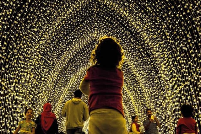 Christmas Lights at the Botanics
Cathedral of Light - with more than 100,000 pea lights.