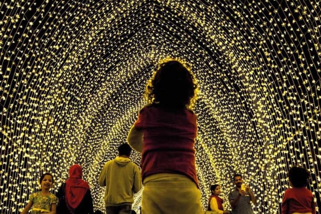 Christmas Lights at the Botanics

Cathedral of Light - with more than 100,000 pea lights.