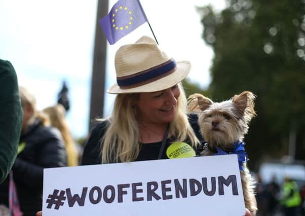 Campaigners and dogs join yesterdays Wooferendum March in London to demand a new Brexit vote. Picture: PA