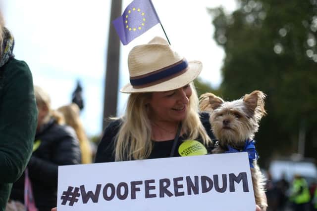 A campaigner and her dog take part in the 'Wooferendum march' where dog owners and their pets gather to demand a new Brexit referendum. Picture: PA