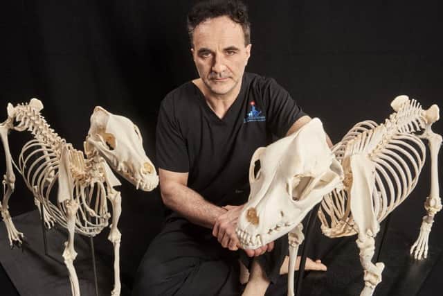 Noel Fitzpatrick grew up on a farm: 'I just wanted to heal all the animals'