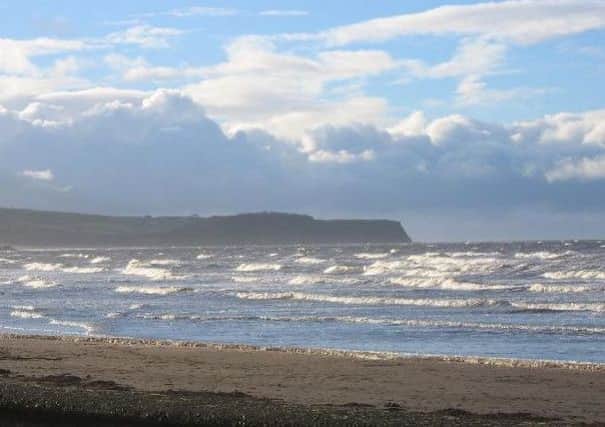 A number of dogs fell ill after visiting Ayr Beach. Ayr Beach, Scotland. Free use image; Stuart Taylor