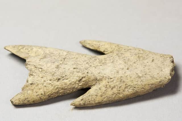 The piece of harpoon that may have been used to kill seals and dolphins in the Beauly Firth around 4,000 BC.