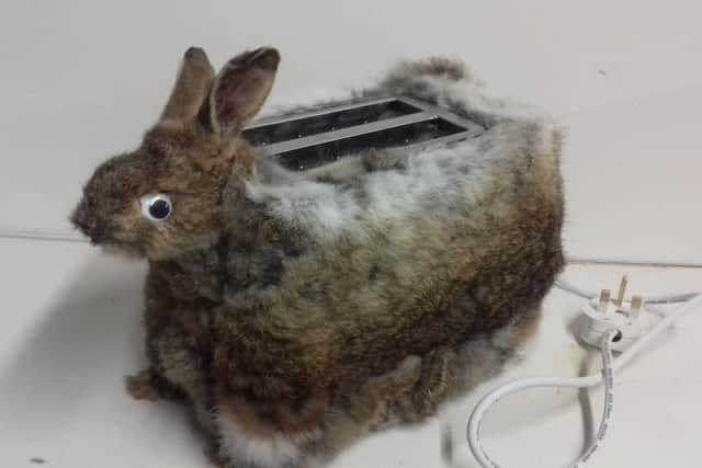 A rabbit turned into a toaster by Jack Devaney. Picture: SWNS