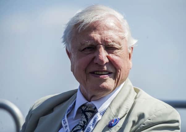 Sir David Attenborough made an unusually forthright appeal about the need to protect Scotland's kelp forests from industrial-scale harvesting (Picture: Peter Byrne/PA Wire)